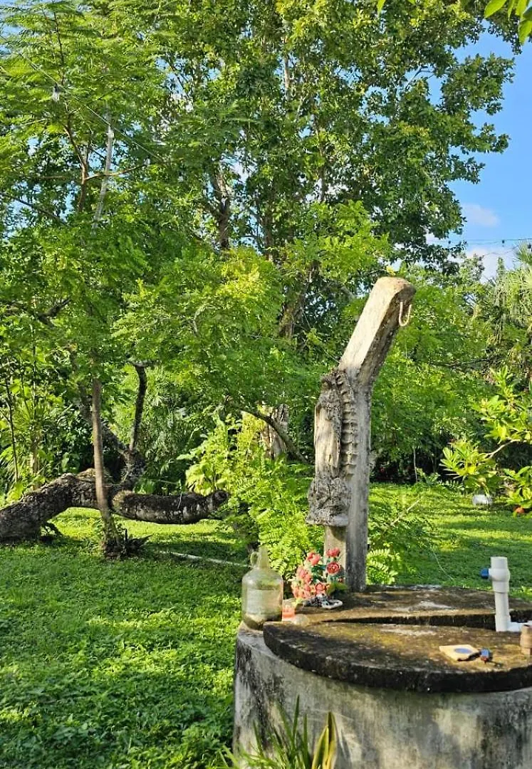 Casa Don Chiquilin El Cedral Cozumel Villa 0*,  Mexico